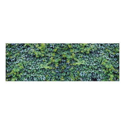 Ogrodowy bluszcz - osłona balkonowa, tarasowa