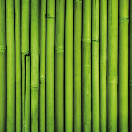 Zielone bambusy - osłona balkonowa, tarasowa