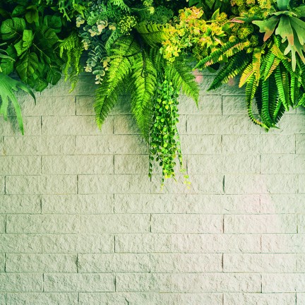 Tropikalne rośliny na cegle - osłona balkonowa, tarasowa
