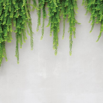 Delikatne liście na betonie - osłona balkonowa, tarasowa